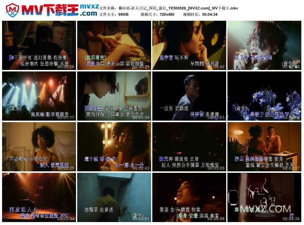 柳应廷-狂人日记_国语_流行_YE500529